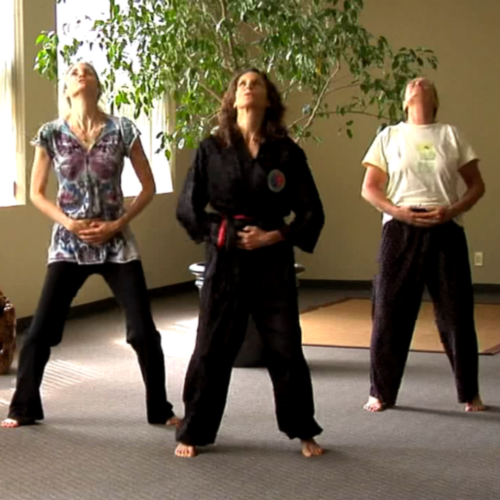 Return Qi & Breath to the Roots Workshop July 2025 - Image 5